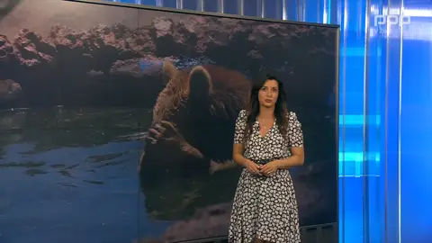 Jana Morelj Vidmar - 24UR Vreme - 25.6.2026