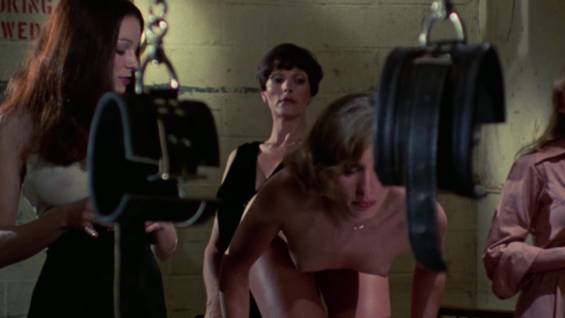 Maraschino Cherry (1978) - Scene 15. Annette Haven, C.J. Laing, Gloria Leonard [BDRip - 10