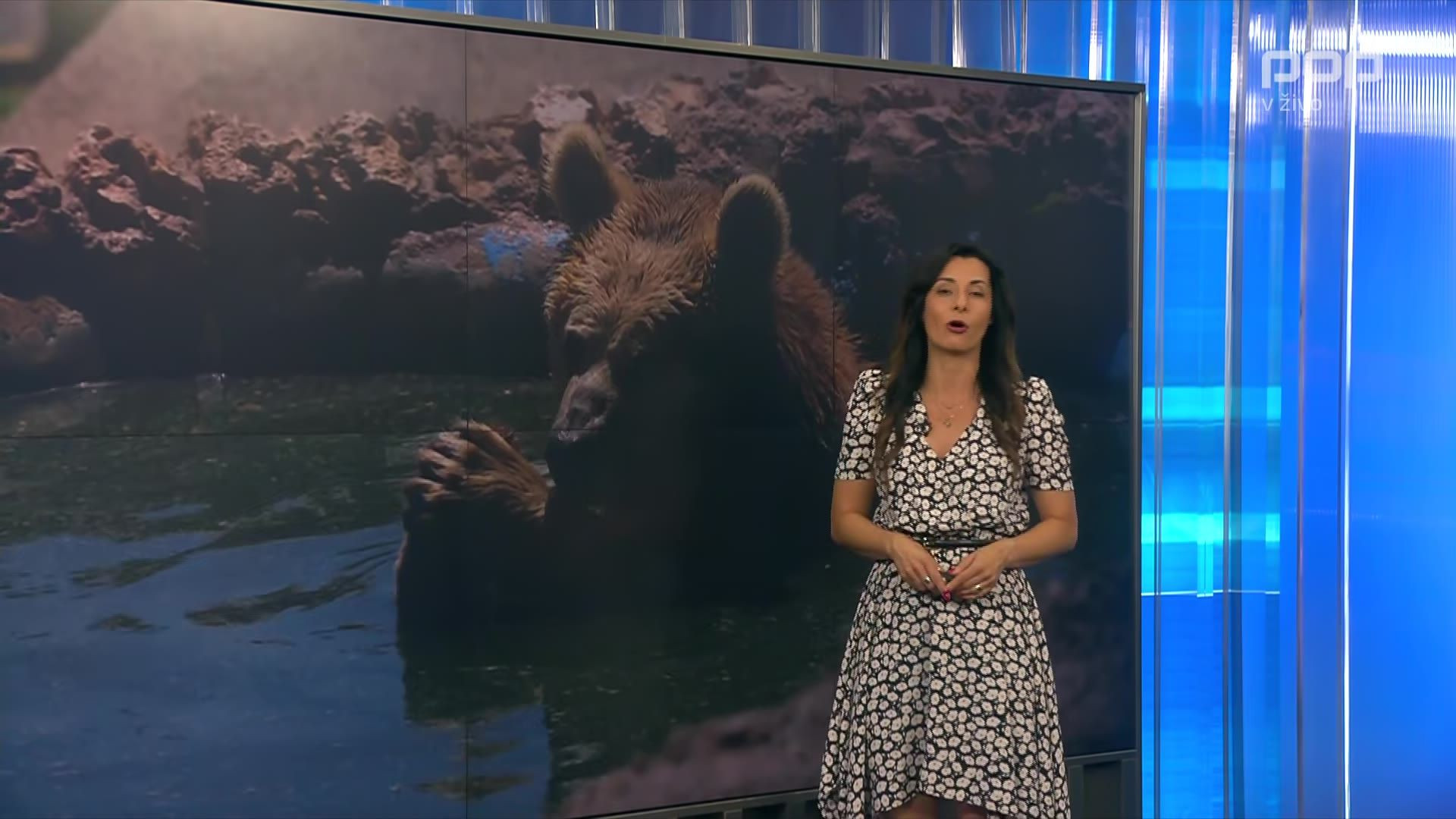 Jana Morelj Vidmar - 24UR Vreme - 25.6.2026