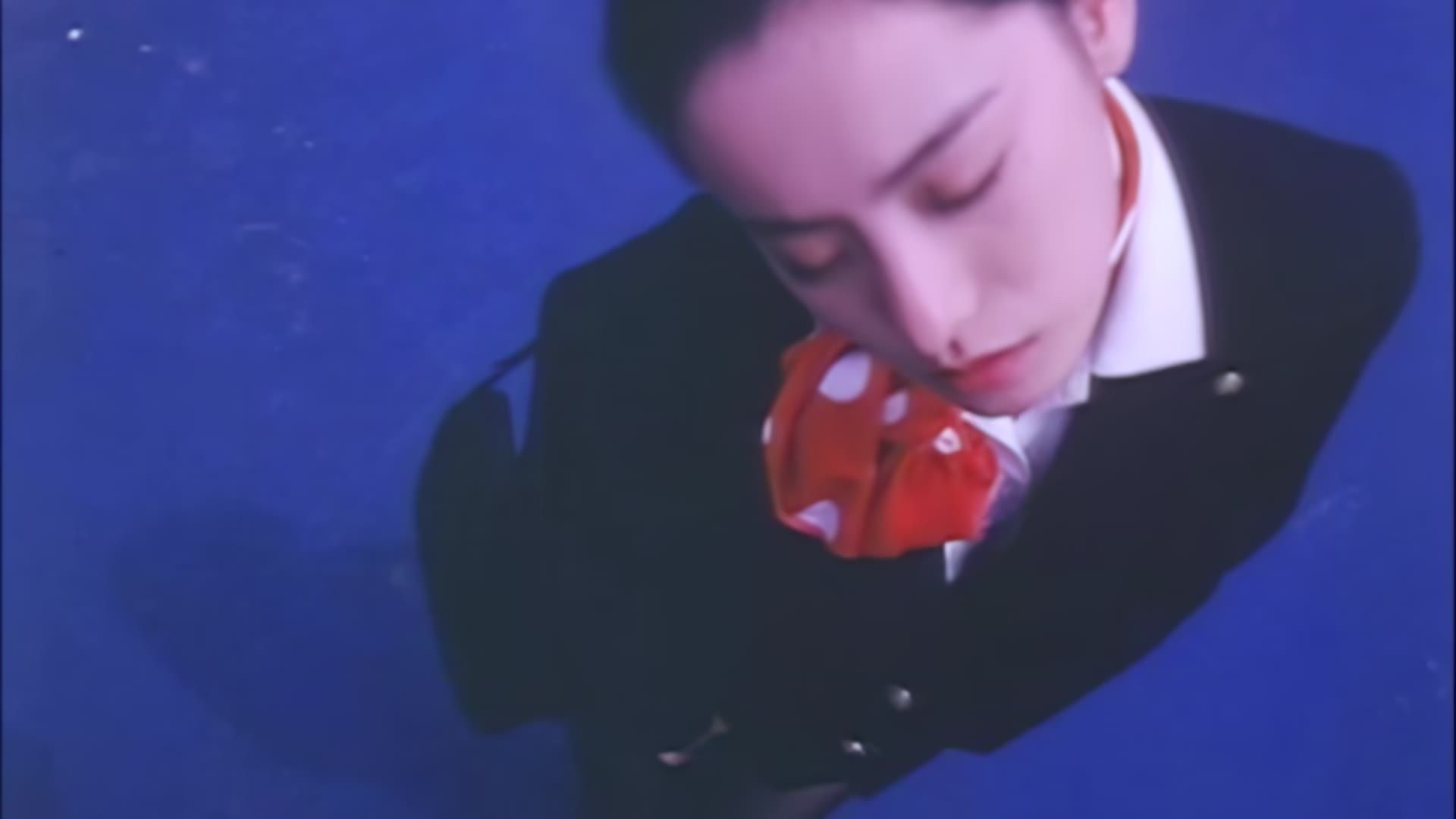 Hitozuma Stewardess: Seifuku Shôten (1998) — Hitozuma Stewardess: Seifuku Shôten (1998)