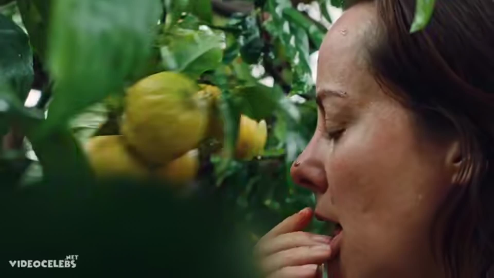 Jena Malone nude - Sylvia (2026) — Sylvia (2026)