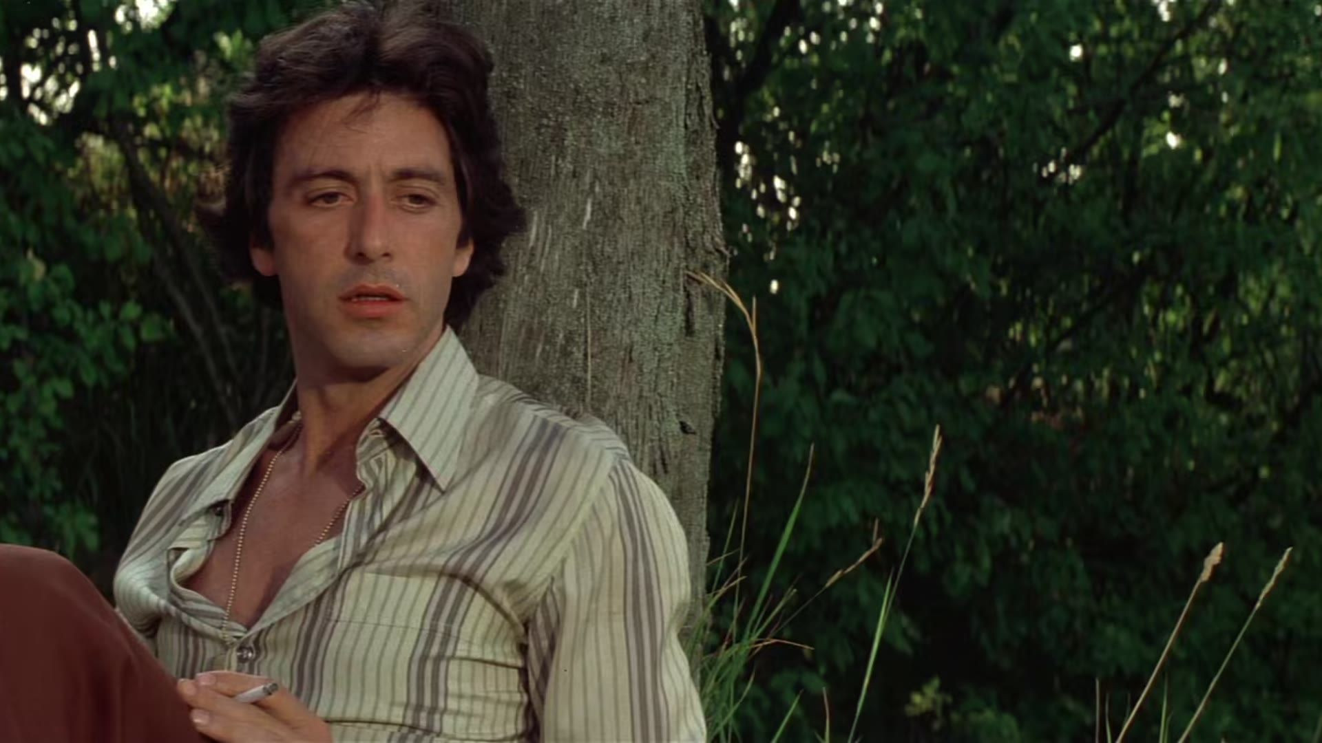 Marthe Keller in Bobby Deerfield (1977) 1080p Blu-ray Remux — Marthe Keller in Bobby Deerf